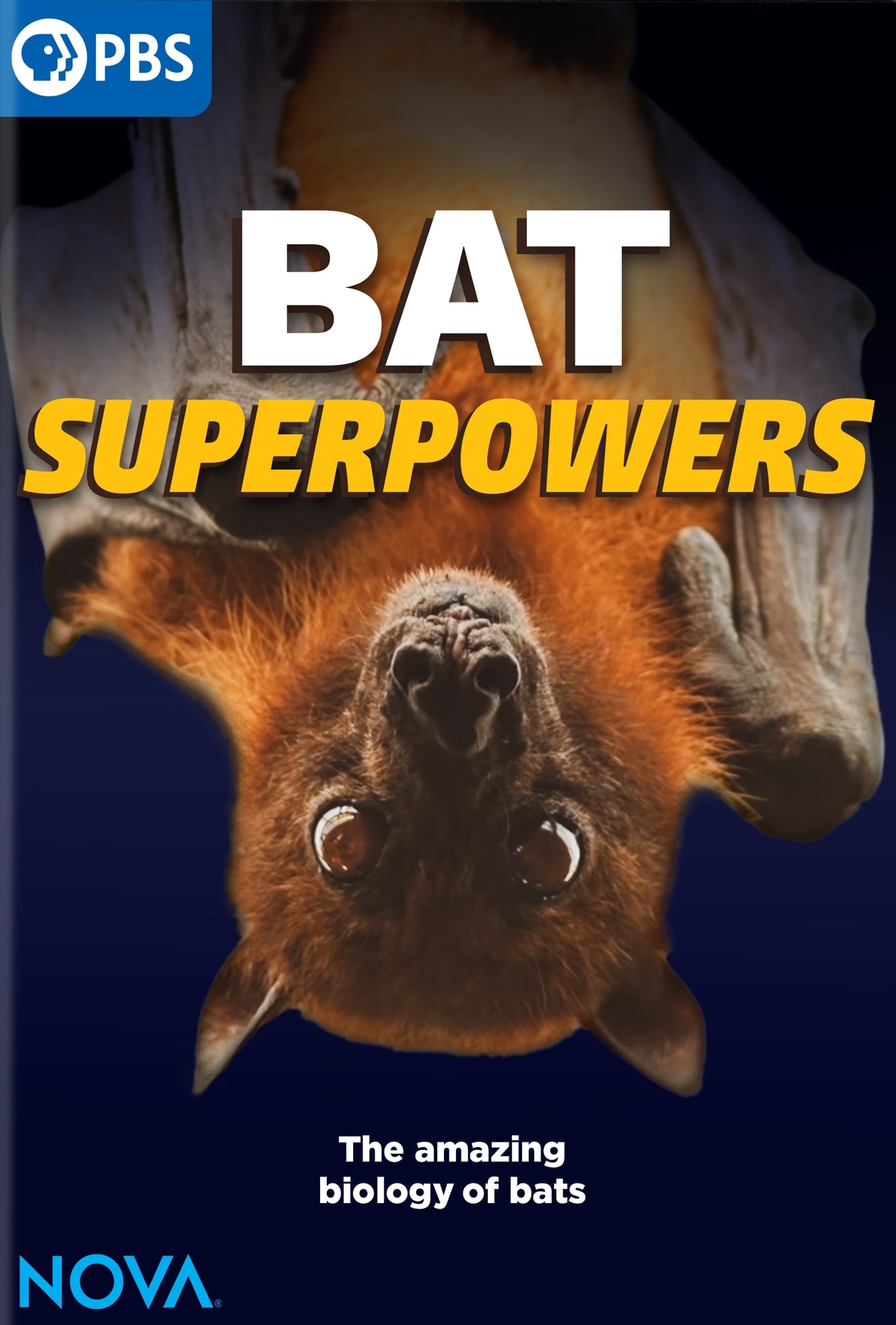 NOVA: Bat Superpowers cover art