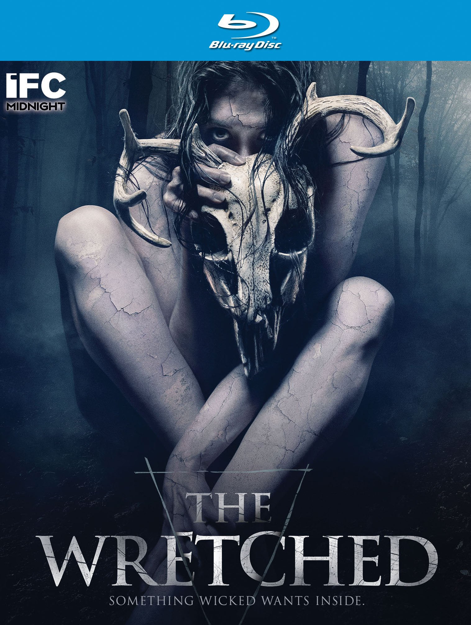 Wretched [Blu-ray] cover art