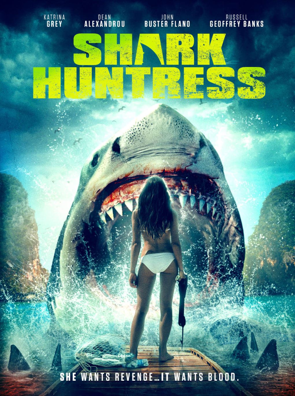 Shark Huntress cover art