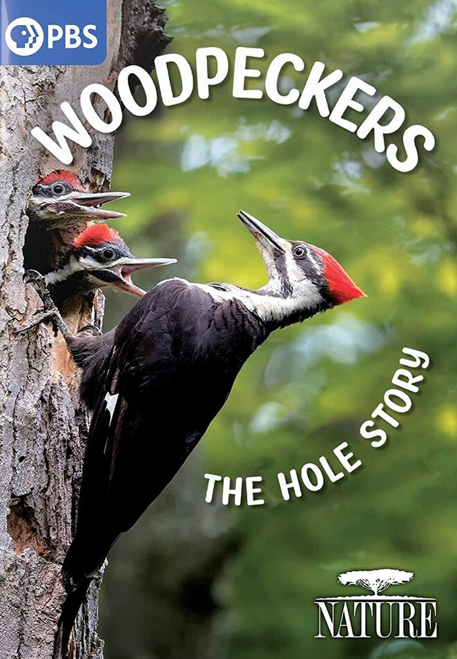 Nature: Woodpeckers - The Hole Story cover art