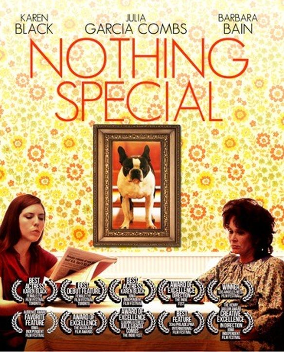 Nothing Special cover art