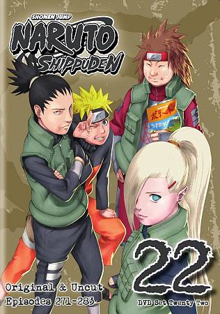 NARUTO SHIPPUDEN: SET 22 cover art