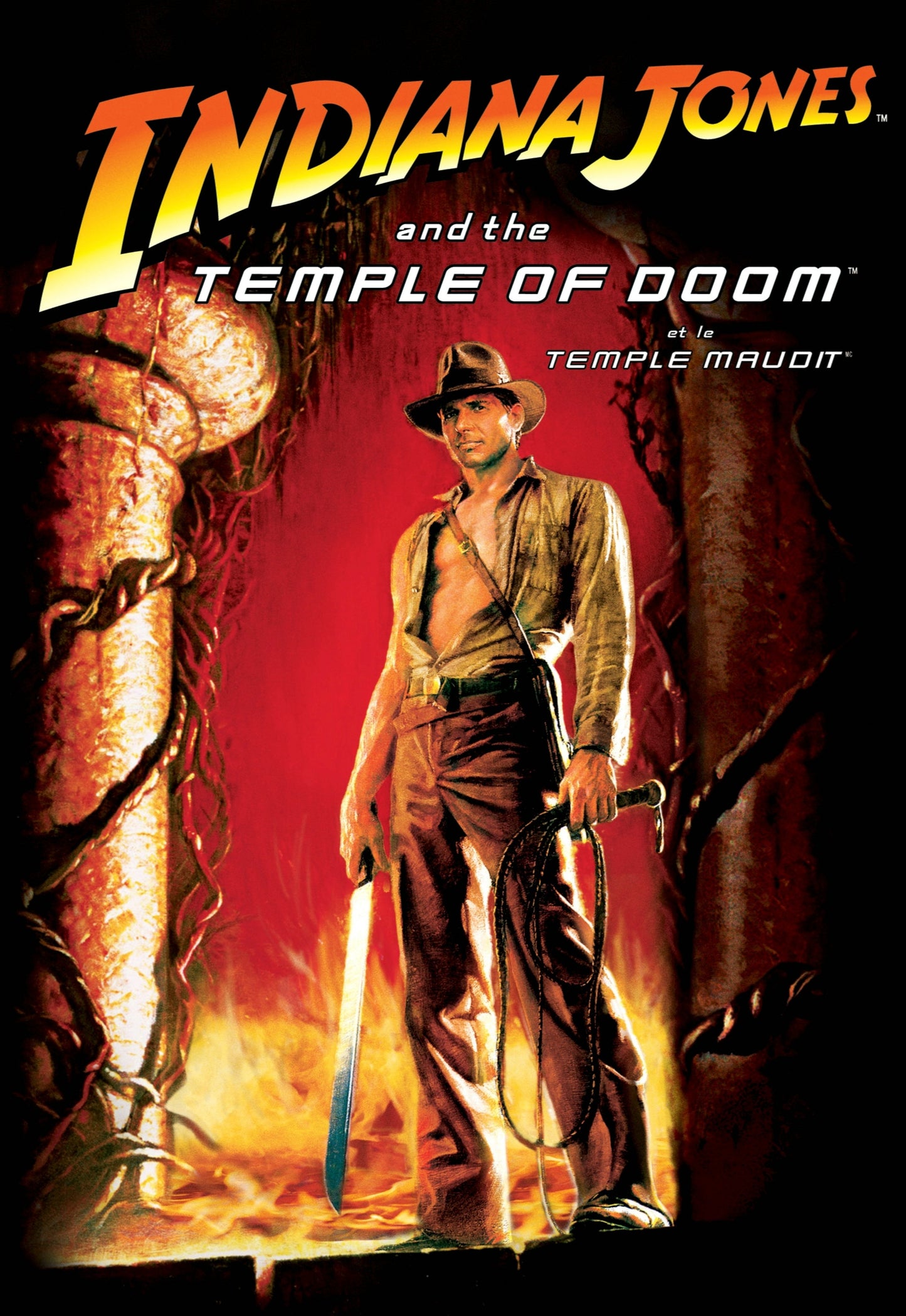 Indiana Jones and the Temple of Doom cover art