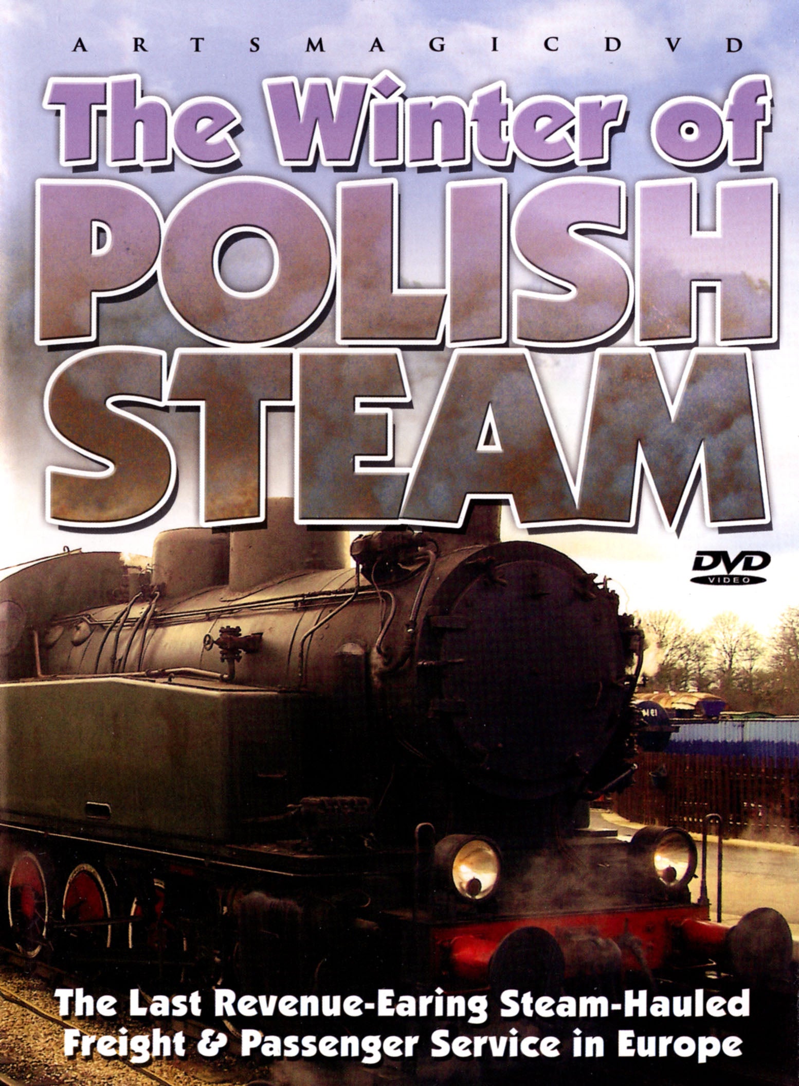 Winter of Polish Steam cover art