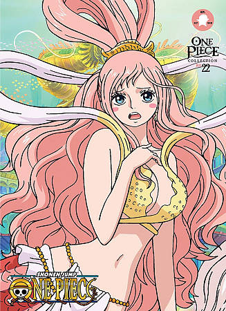 ONE PIECE: COLLECTION 22 cover art