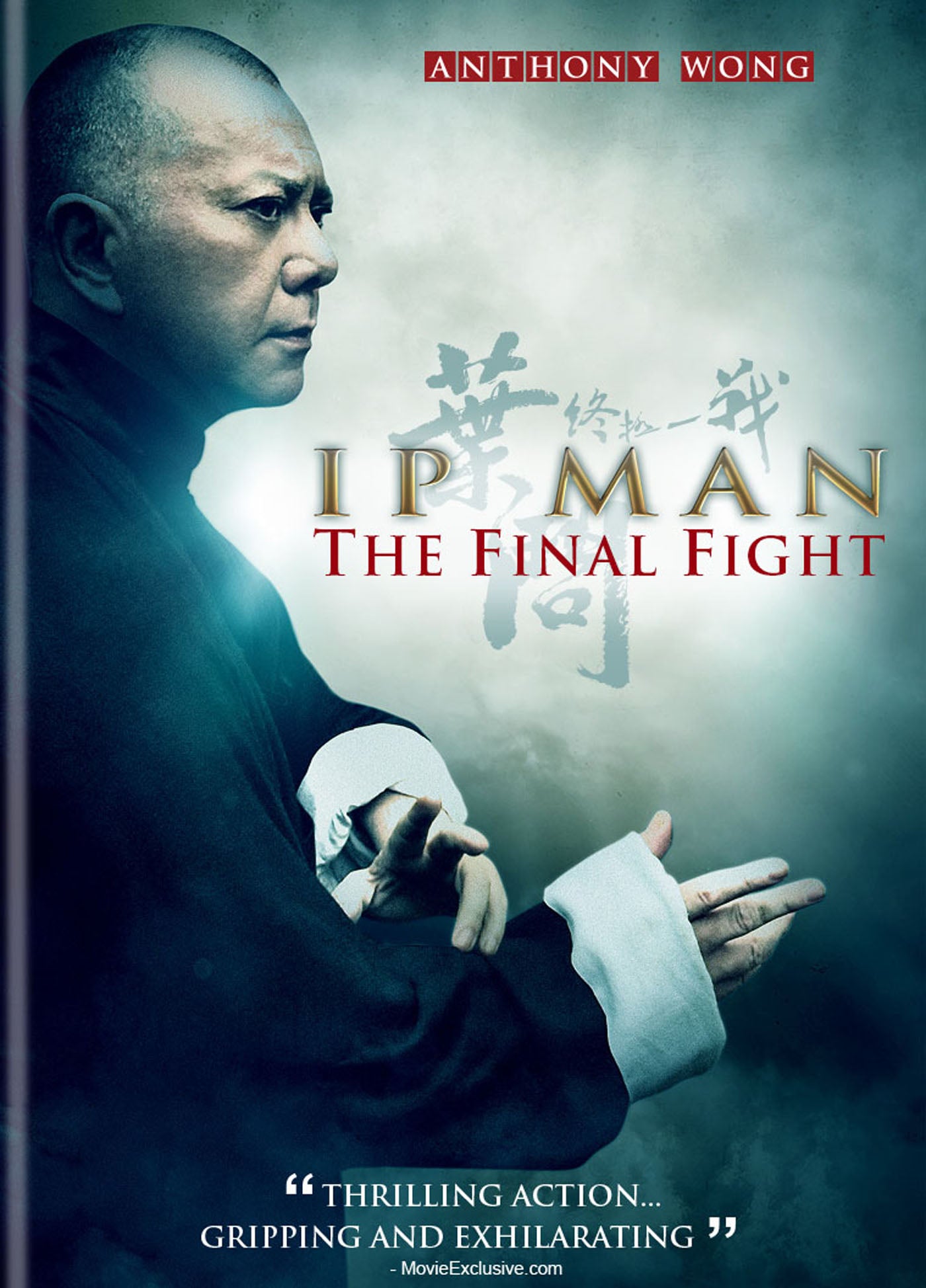 Ip Man: The Final Fight cover art