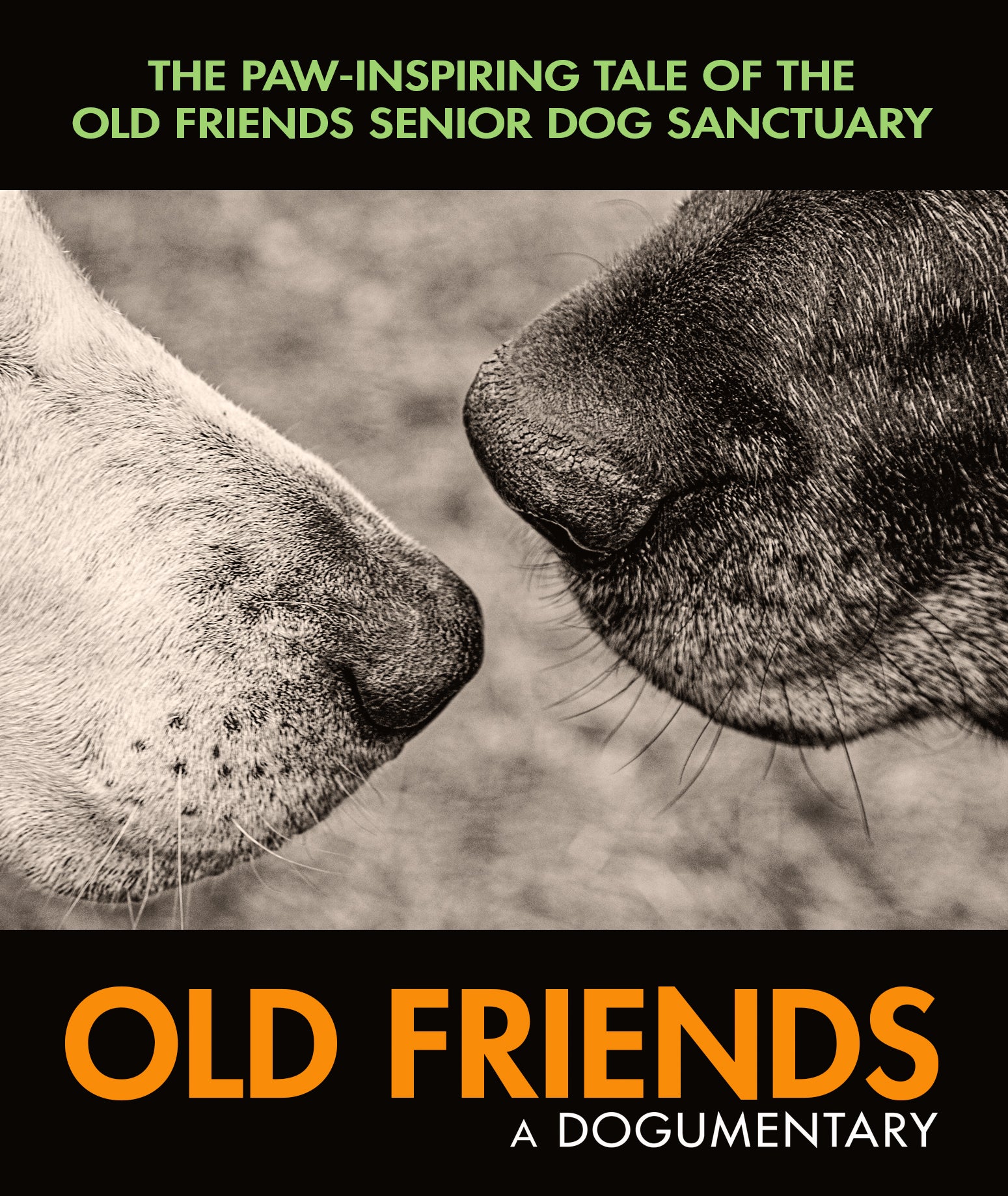 Old Friends: A Dogumentary [Blu-ray] cover art