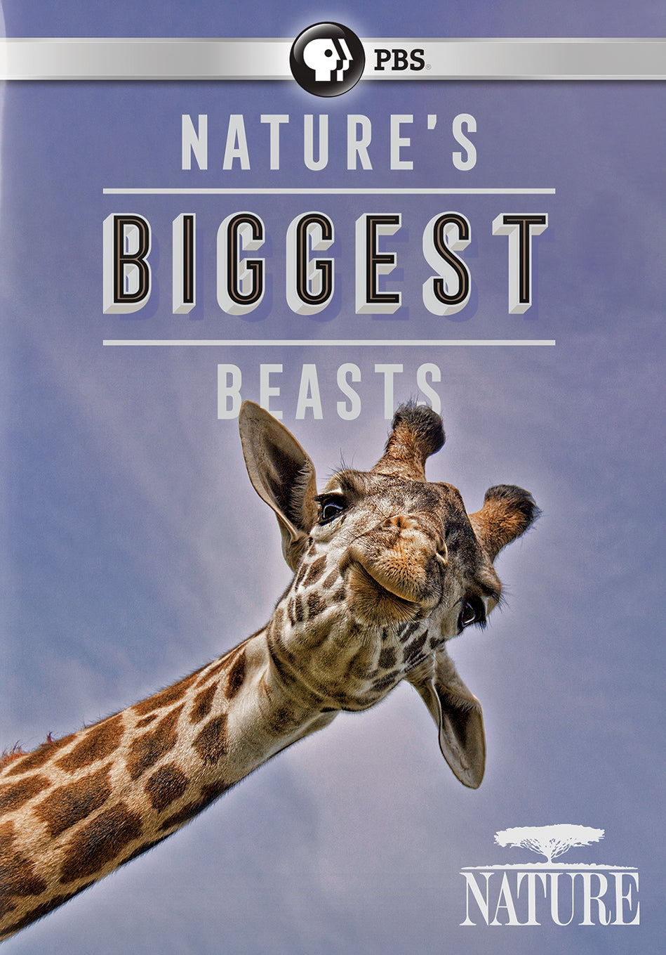 Nature: Nature's Biggest Beasts cover art