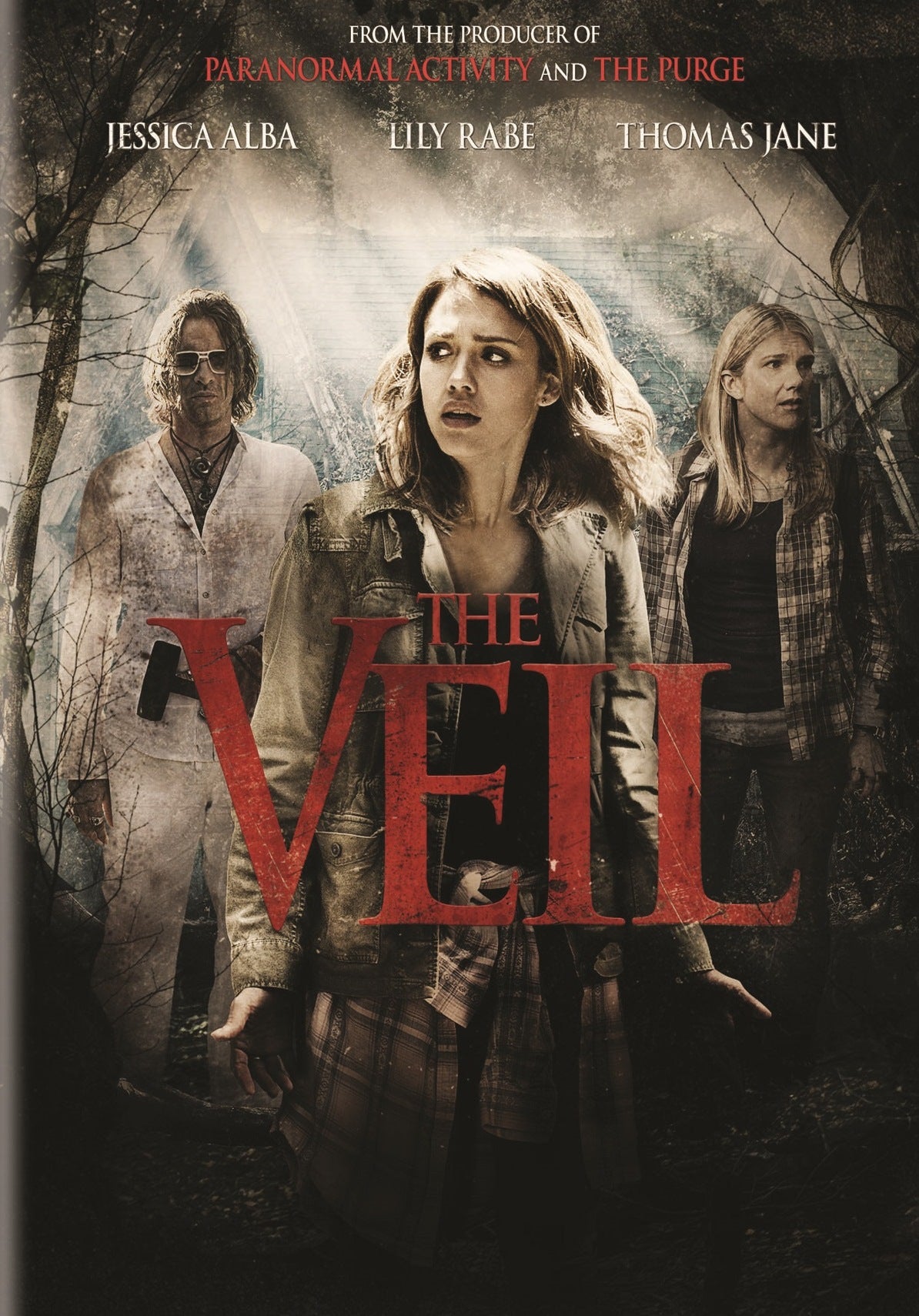 Veil cover art