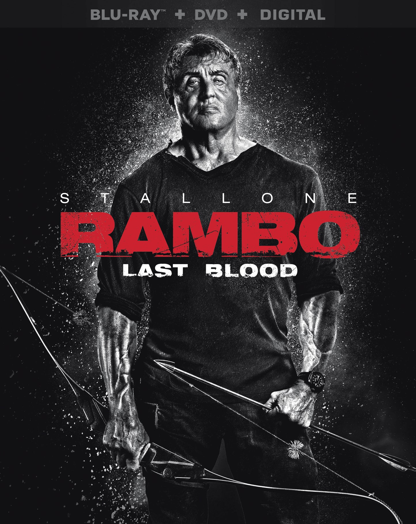 Rambo: Last Blood [Includes Digital Copy] [Blu-ray/DVD] cover art