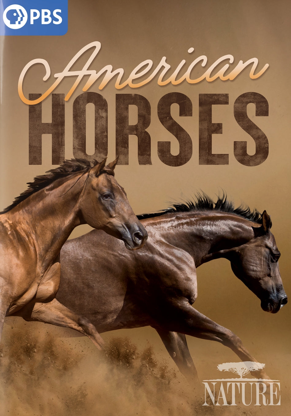 Nature: American Horses cover art