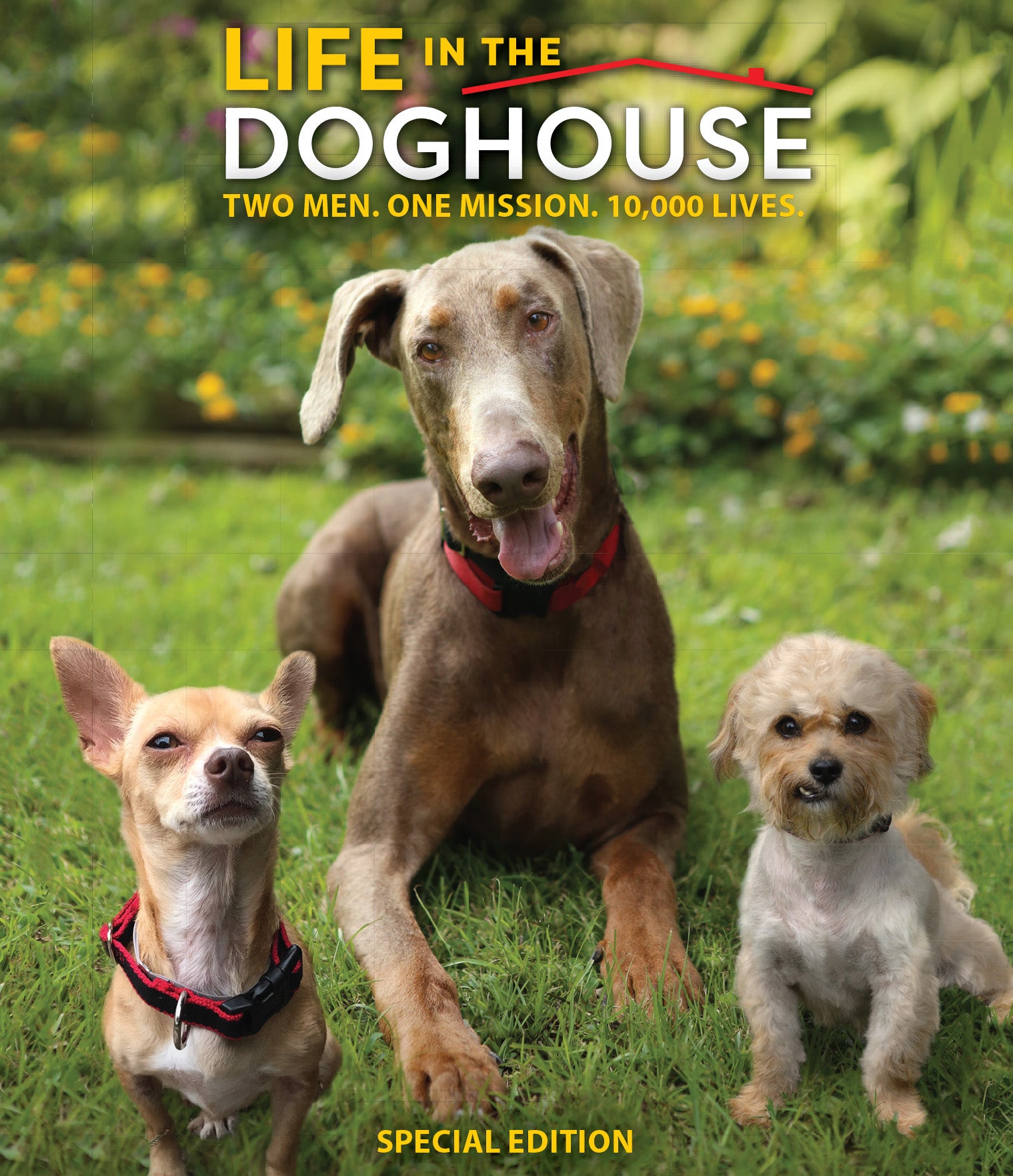 Life in the Doghouse [Blu-ray] cover art
