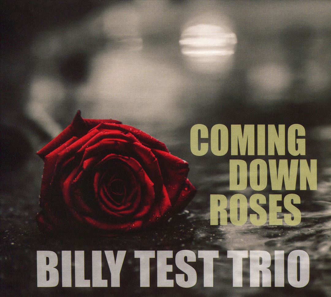 Coming Down Roses cover art