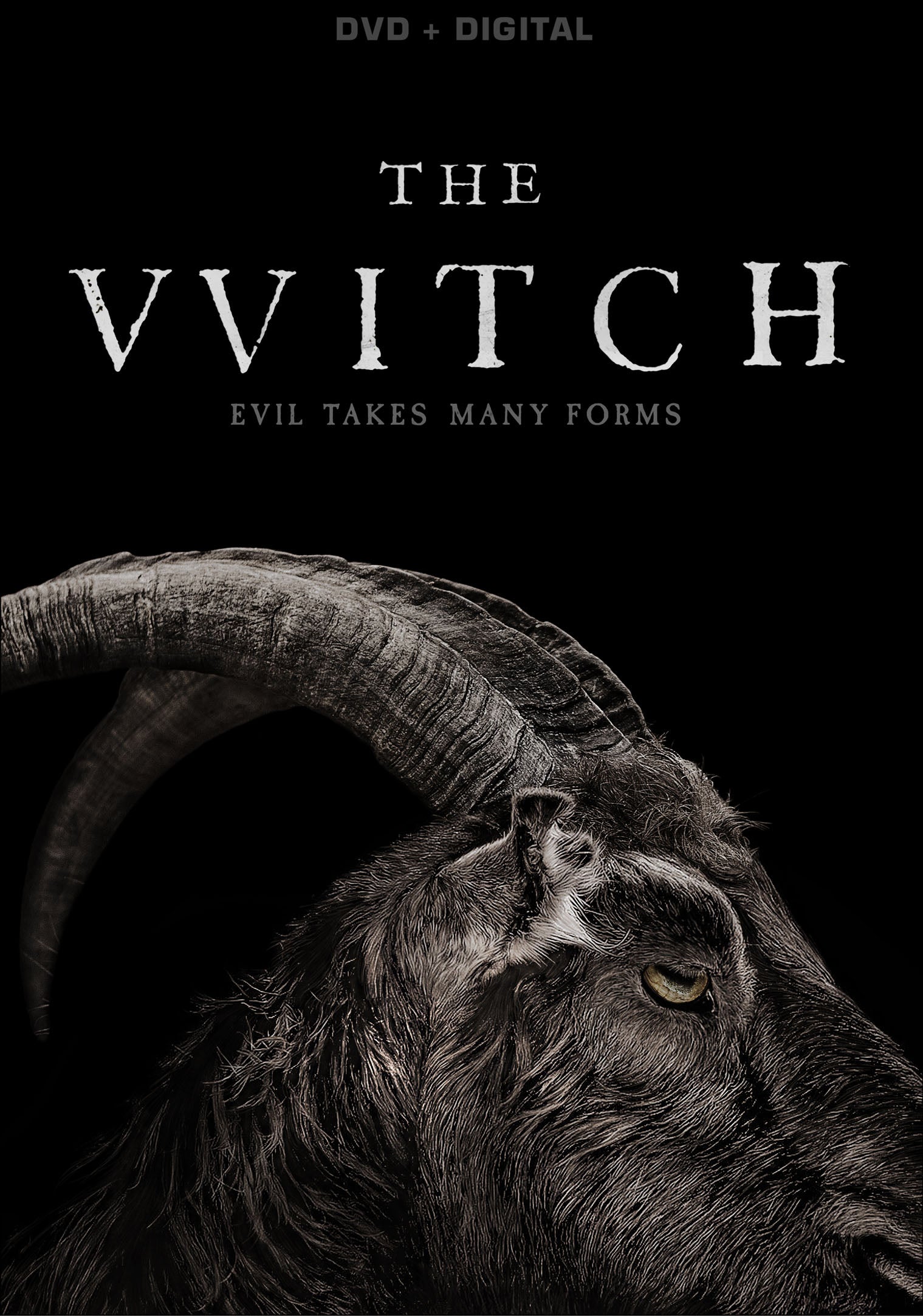 Witch cover art