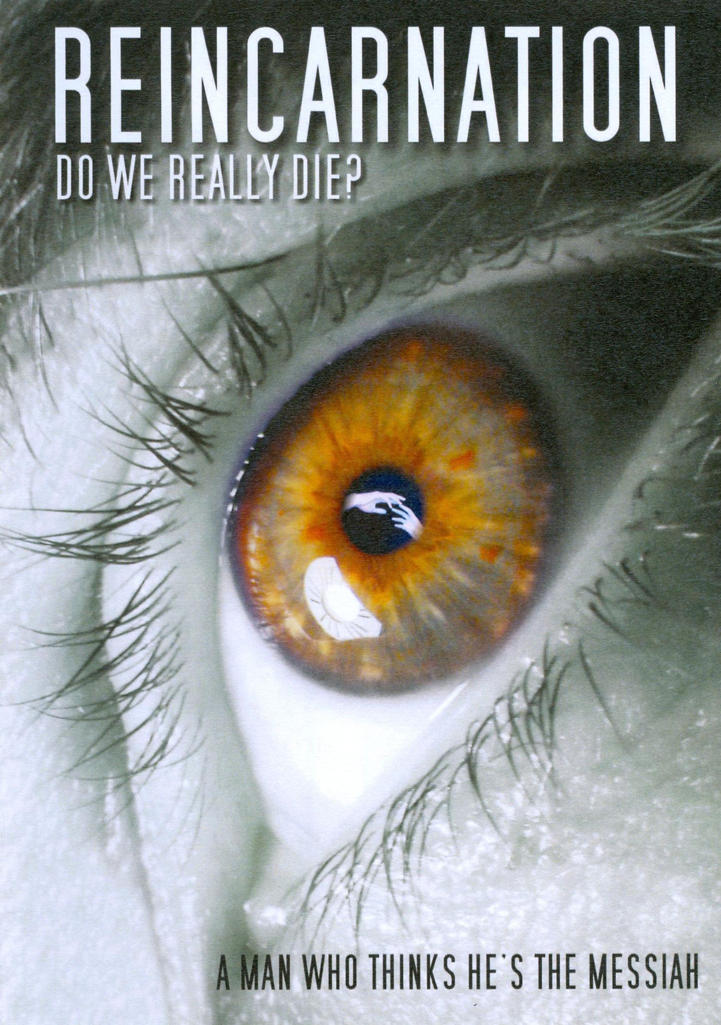 Reincarnation cover art