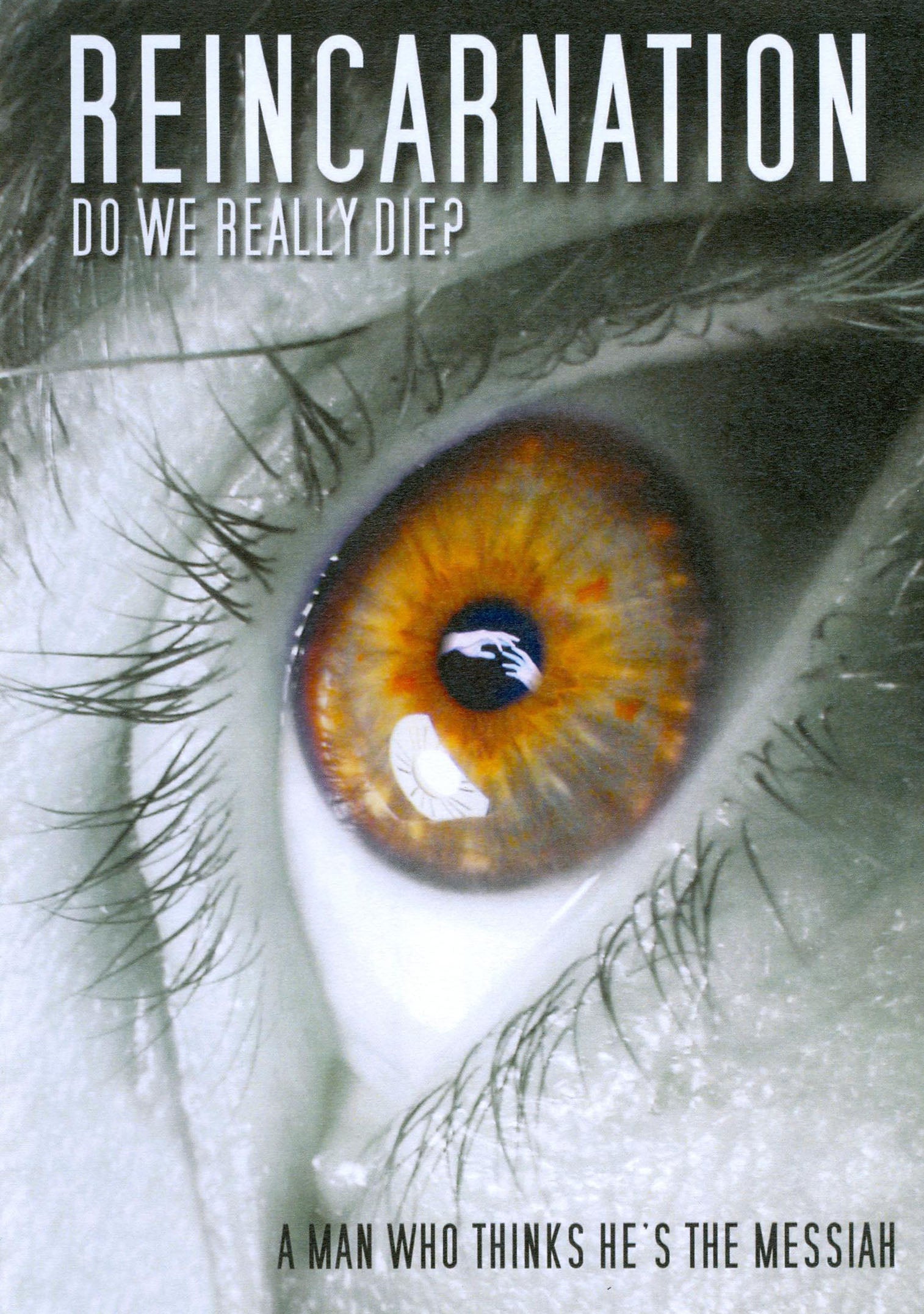 Reincarnation cover art