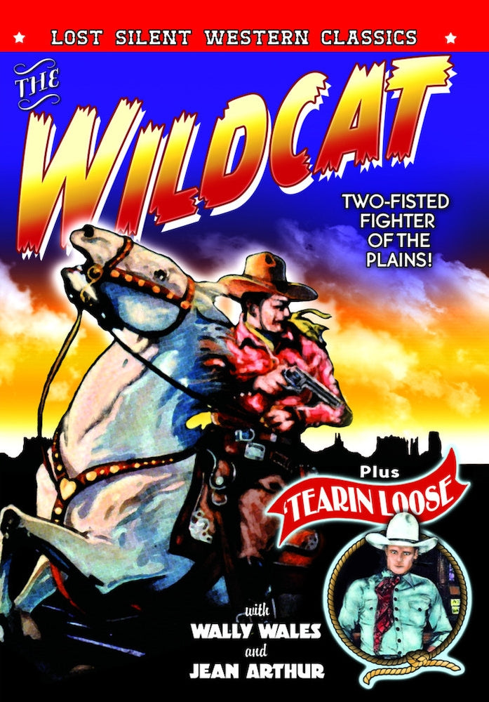 Wildcat cover art