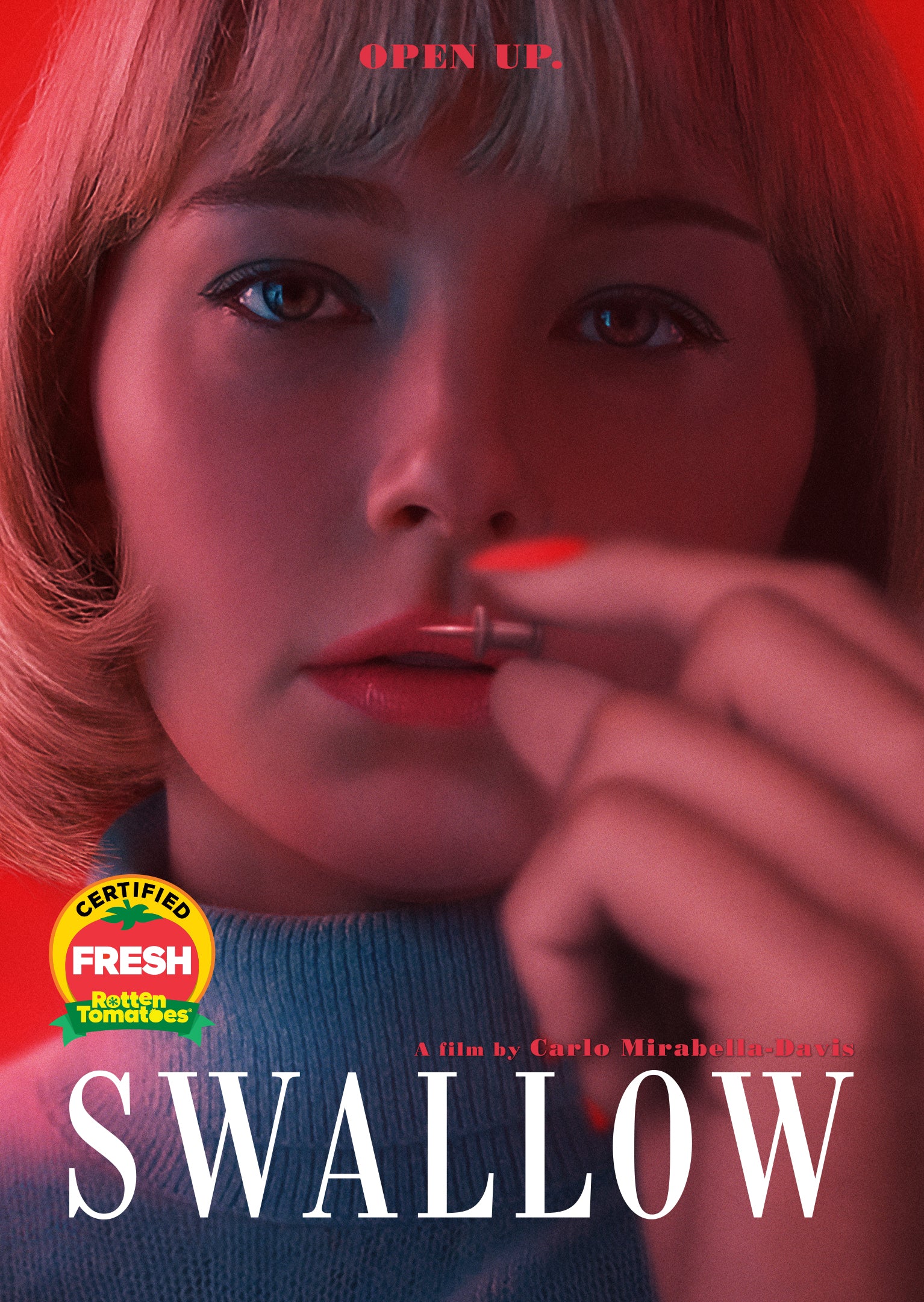 Swallow cover art