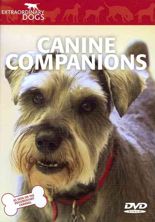 Extraordinary Dogs: Canine Companions cover art