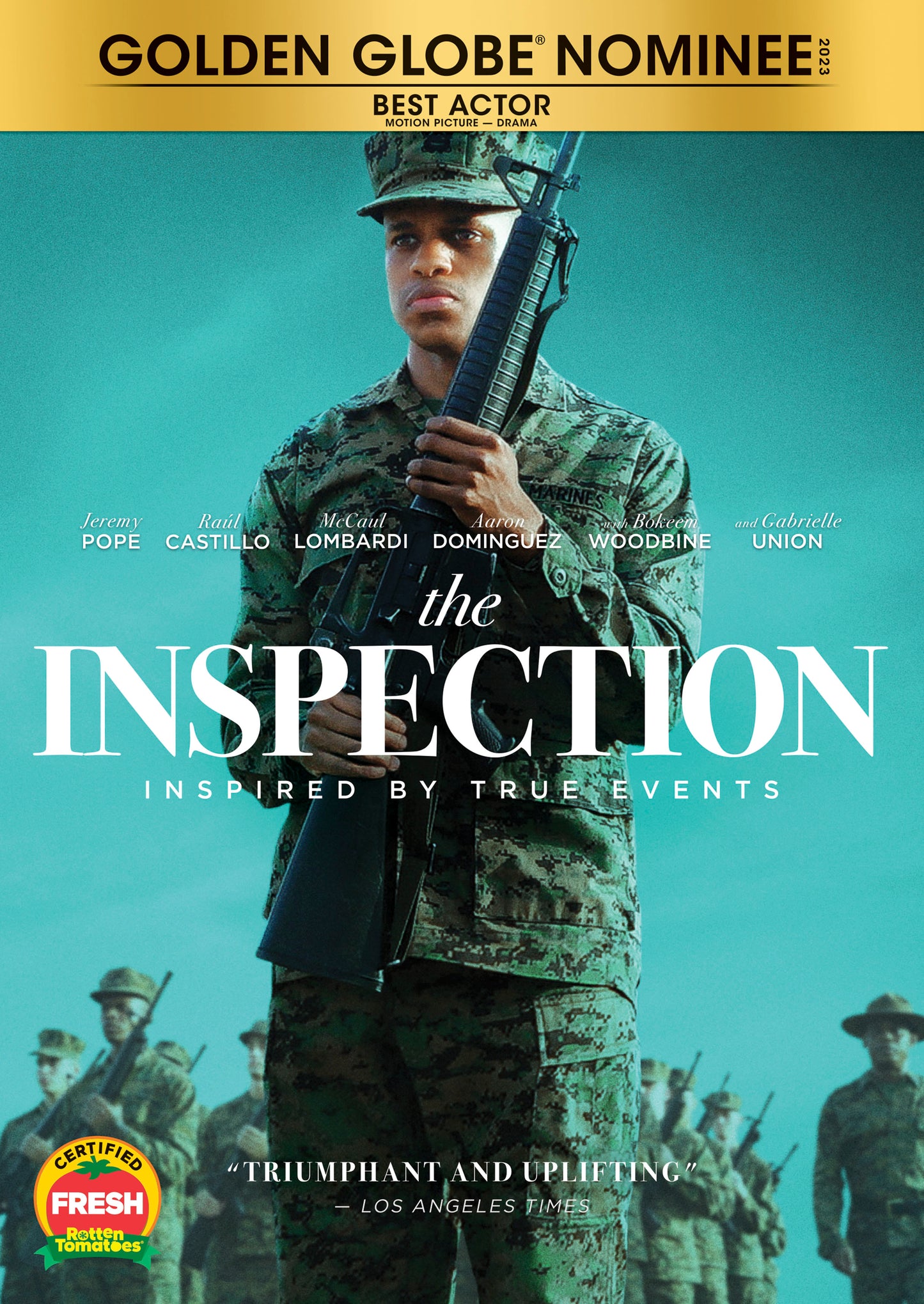 Inspection cover art
