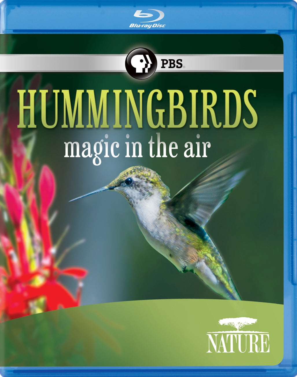 Nature: Hummingbirds: Magic in the Air [Blu-ray] cover art