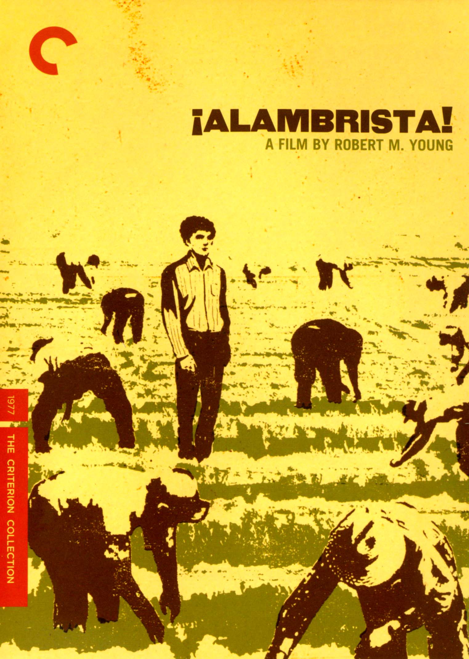 Alambrista! [Criterion Collection] cover art