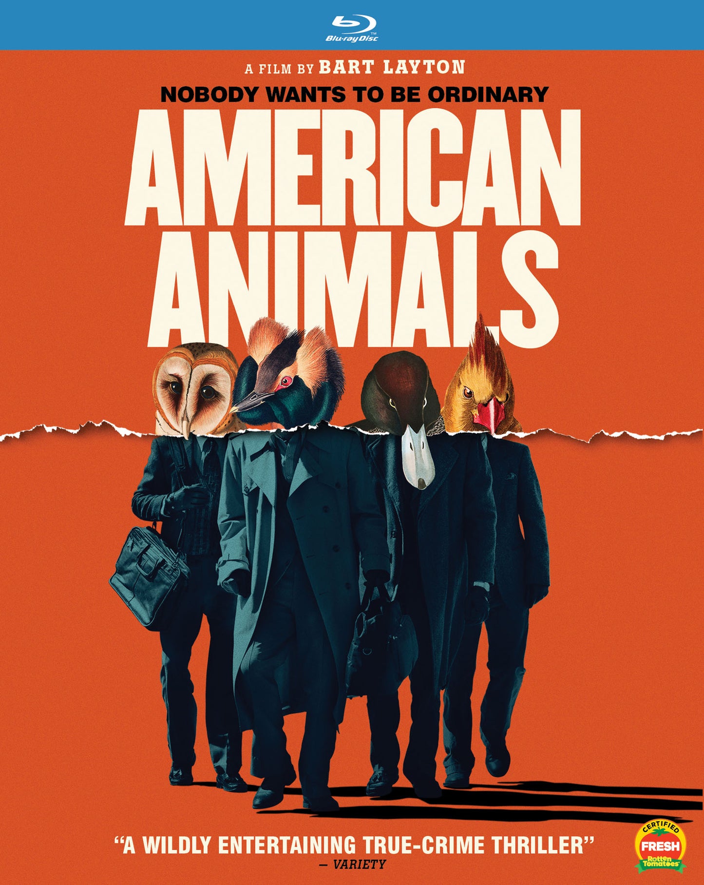 American Animals [Blu-ray] cover art