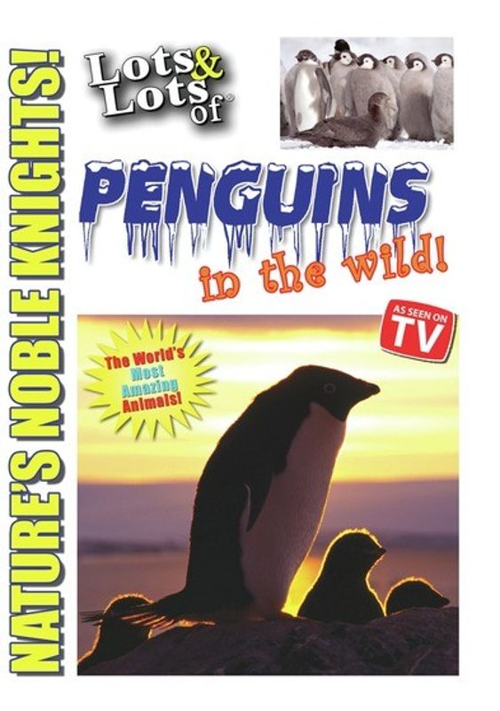 Lots & Lots of Penguins in the Wild! cover art