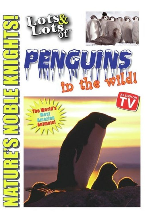 Lots & Lots of Penguins in the Wild! cover art