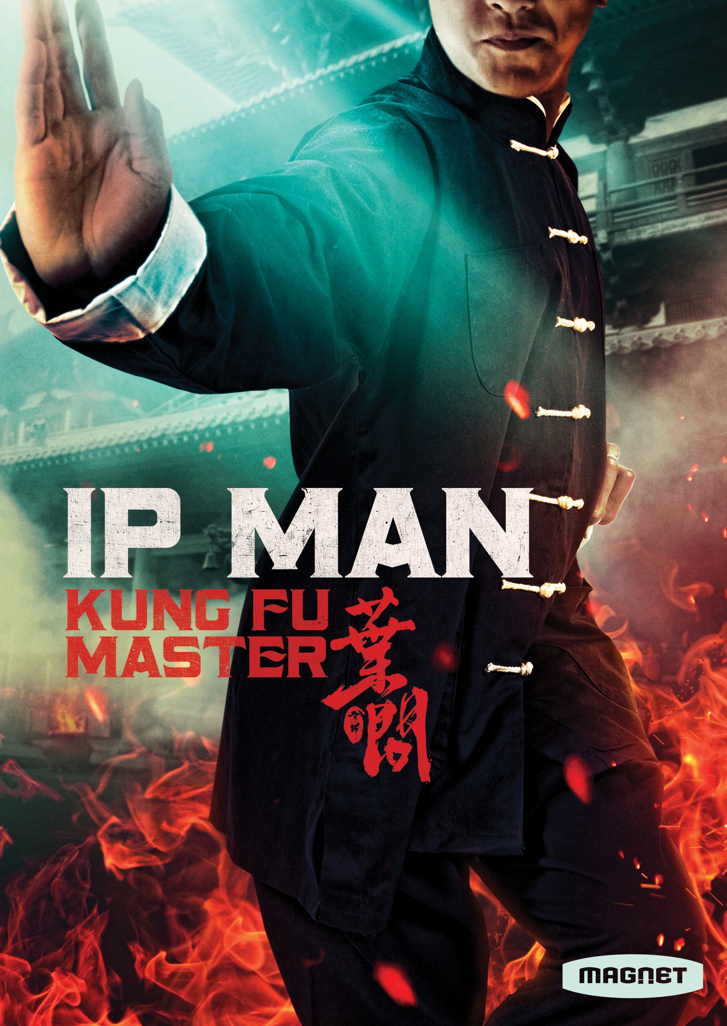 Ip Man: Kung Fu Master cover art