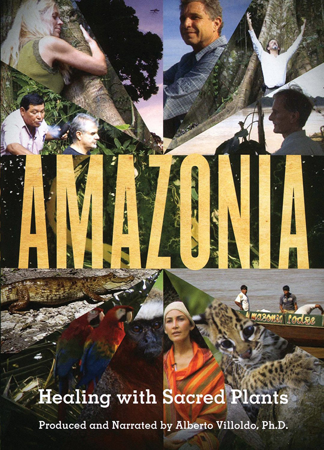 AMAZONIA cover art