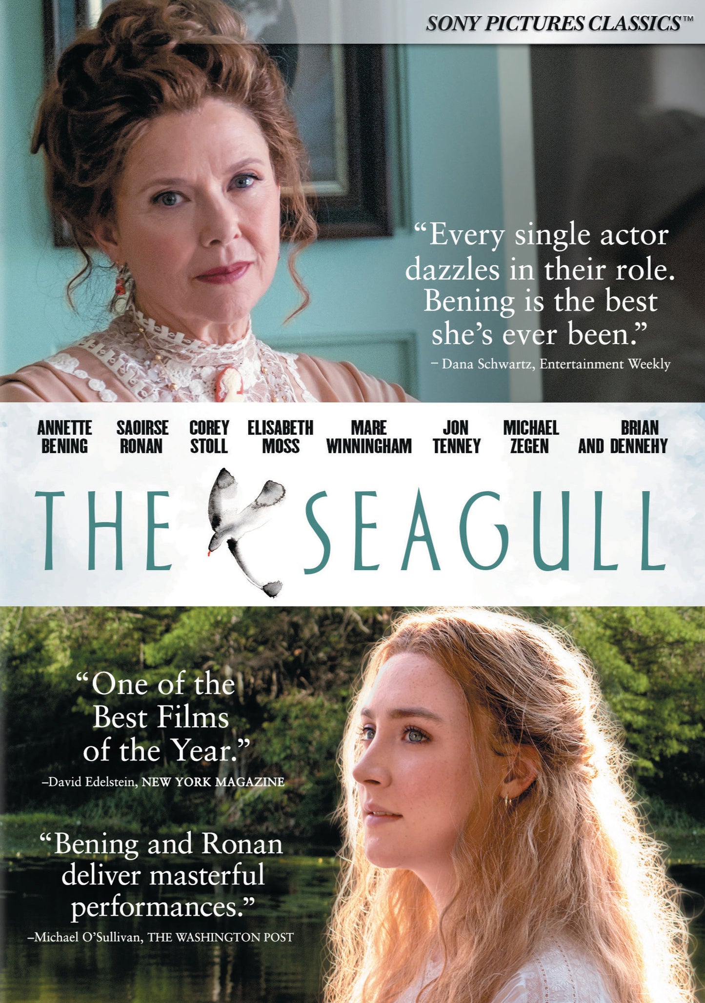 Seagull cover art