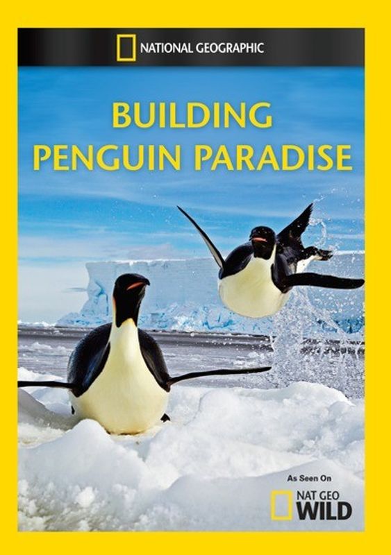 Building Penguin Paradise cover art
