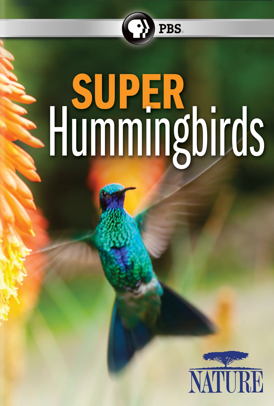 Nature: Super Hummingbirds cover art
