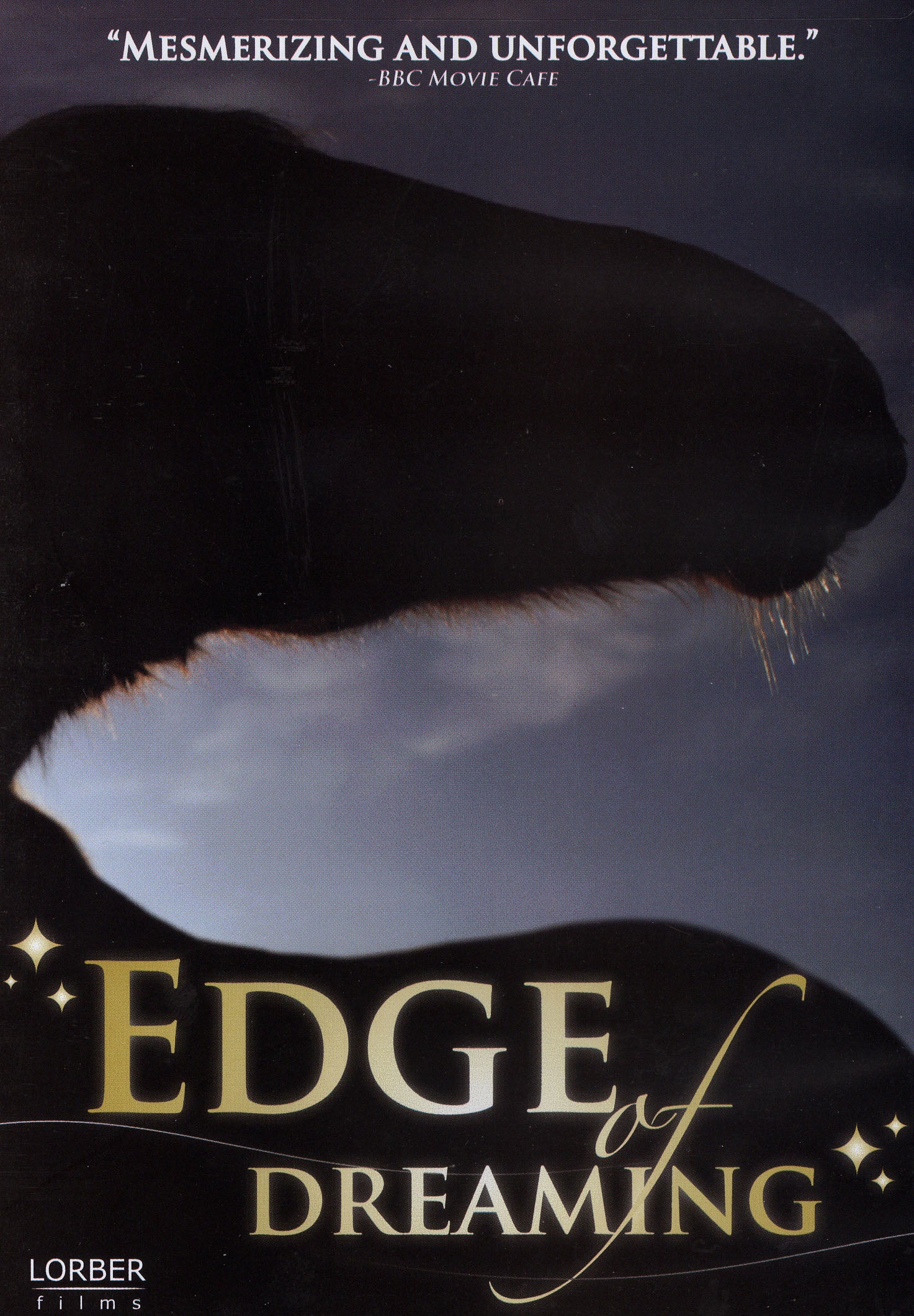 Edge of Dreaming cover art