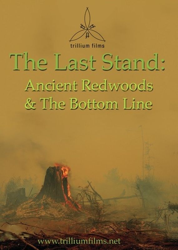 Last Stand: Ancient Redwoods and the Bottom Line cover art