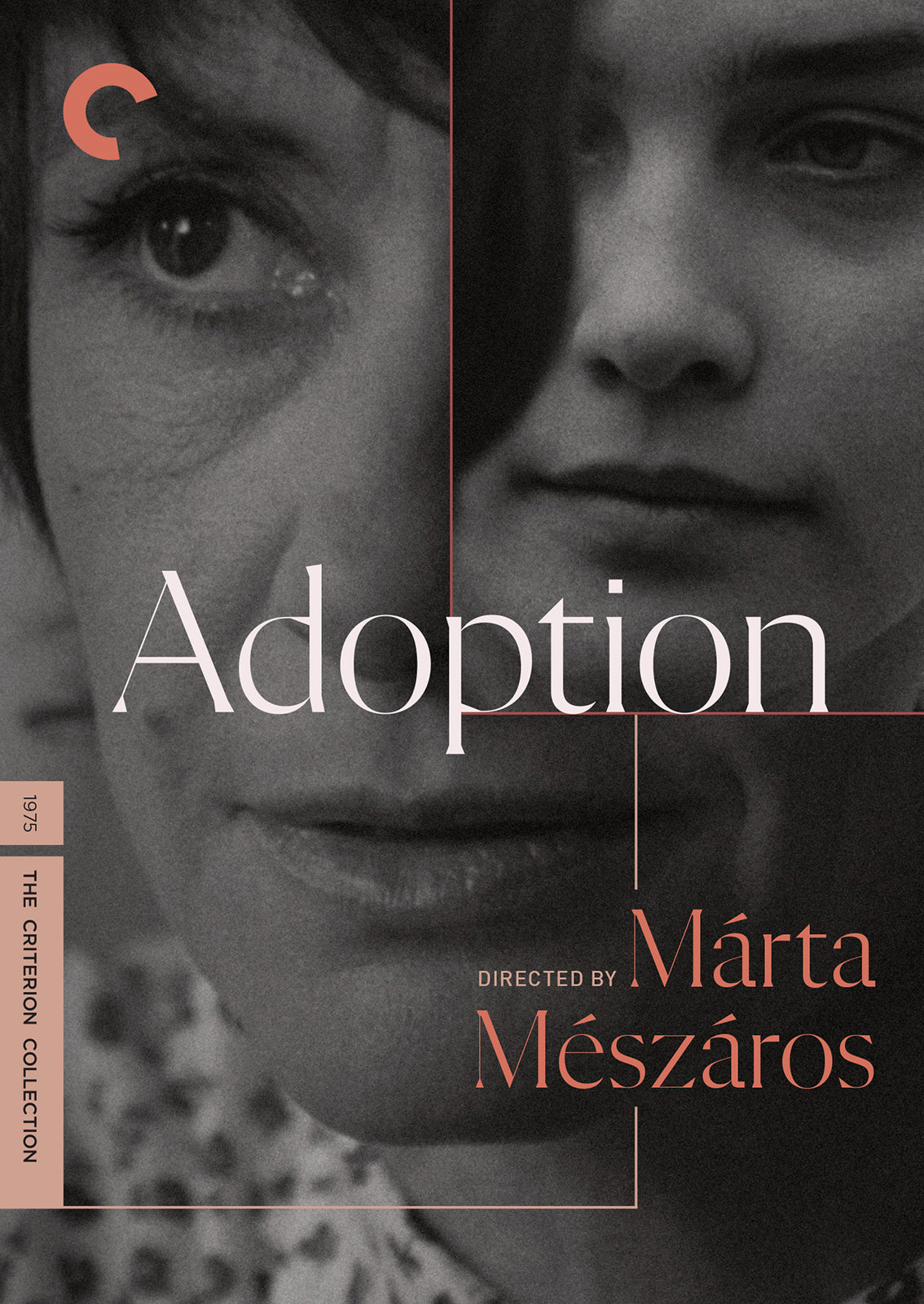Adoption [Criterion Collection] cover art
