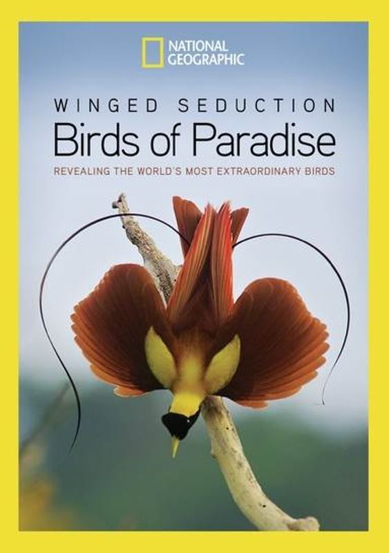 National Geographic: Winged Seduction - Birds of Paradise cover art