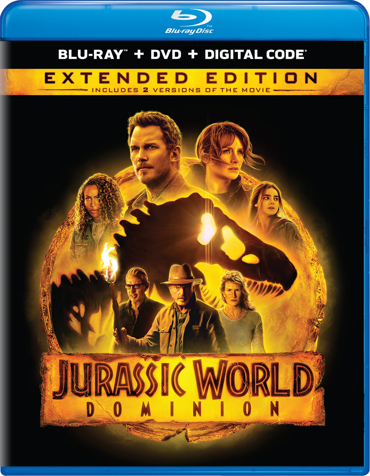 Jurassic World Dominion [Includes Digital Copy] [Blu-ray/DVD] cover art