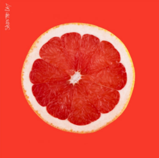 SAVES THE DAY cover art