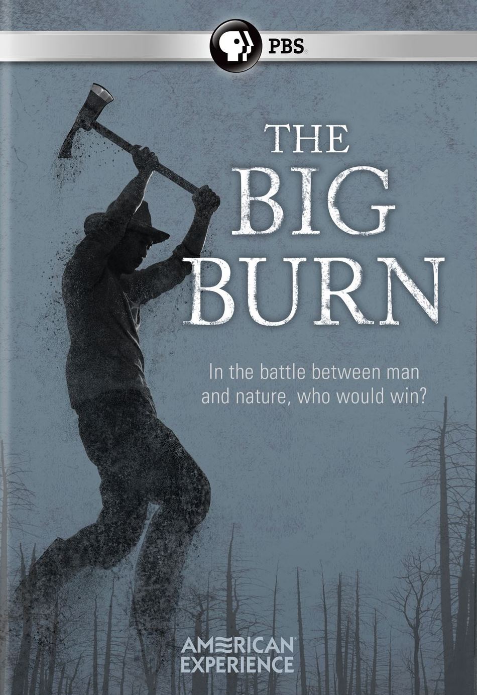 American Experience: The Big Burn cover art