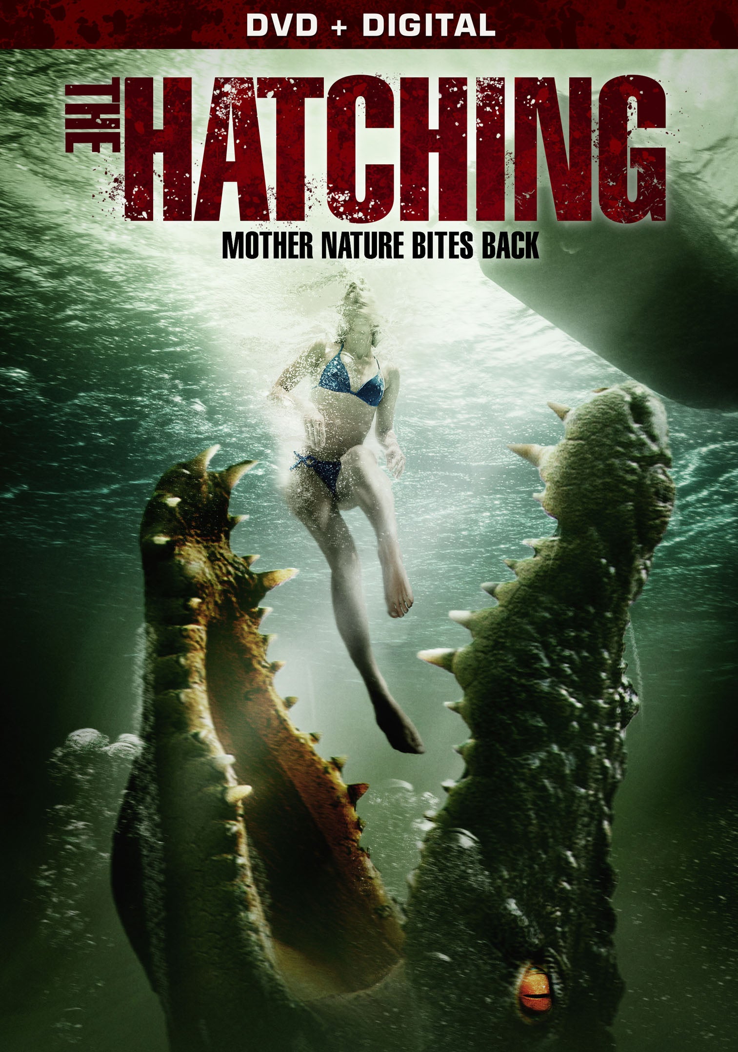 Hatching cover art