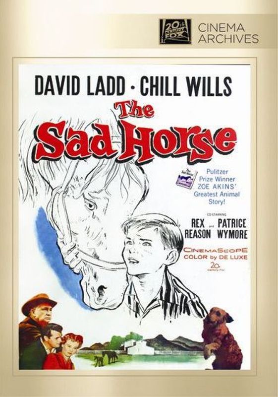 Sad Horse cover art