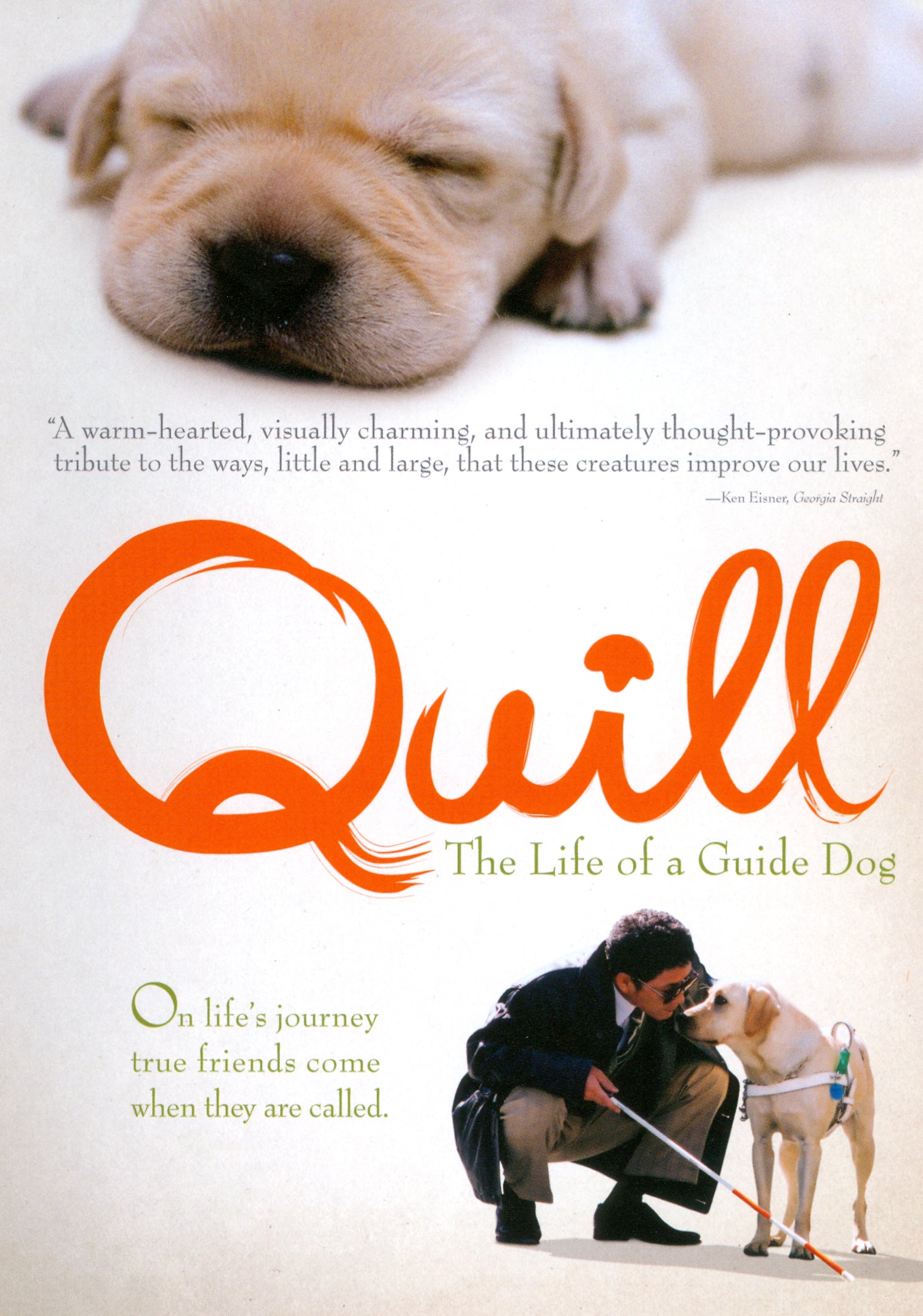 Quill cover art