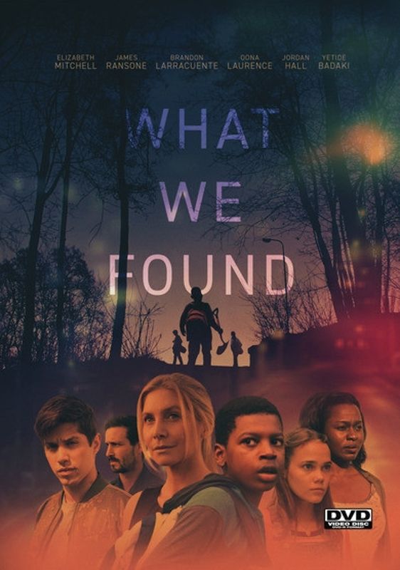 What We Found cover art